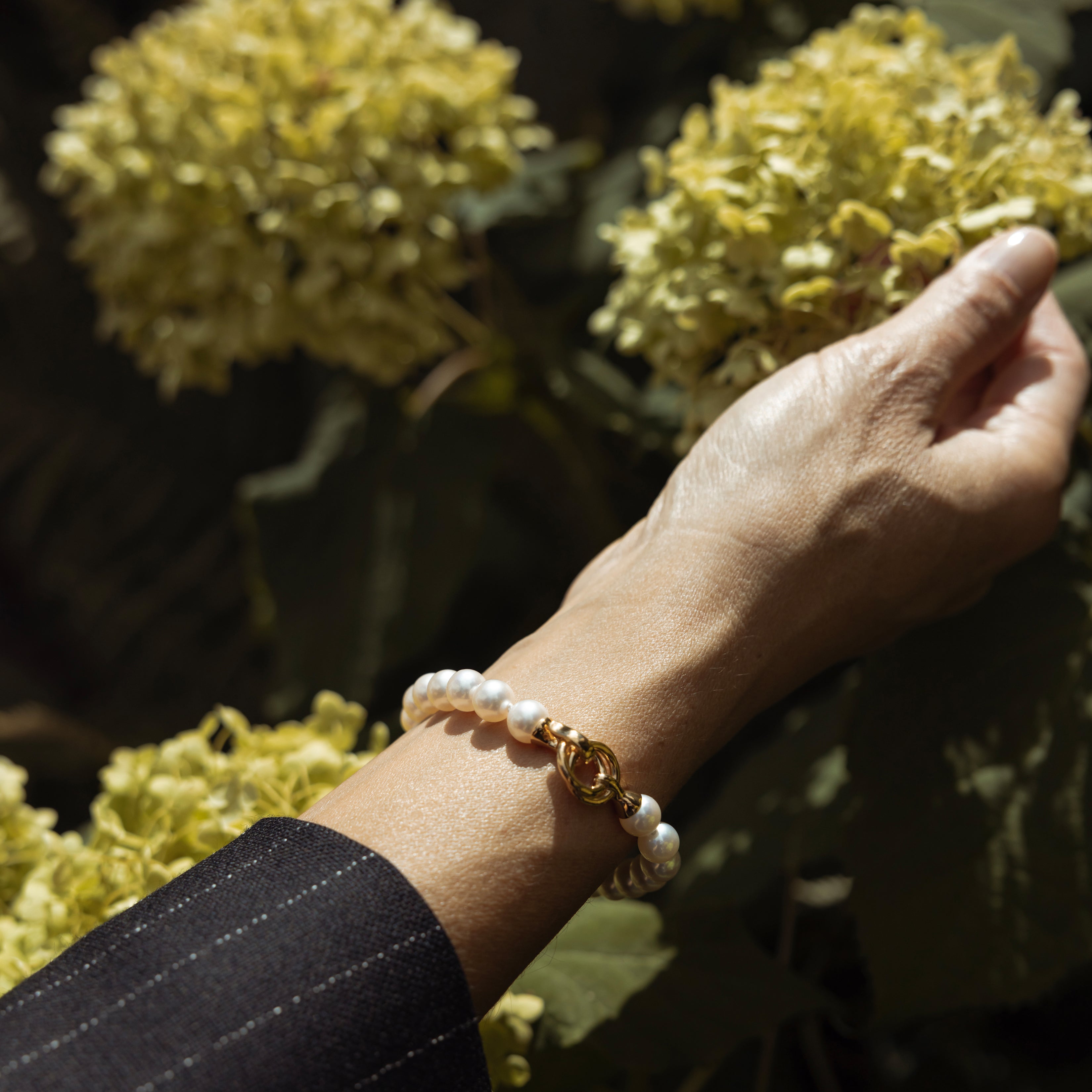 Akoya Armband AAA "Pure Row" - Calissi